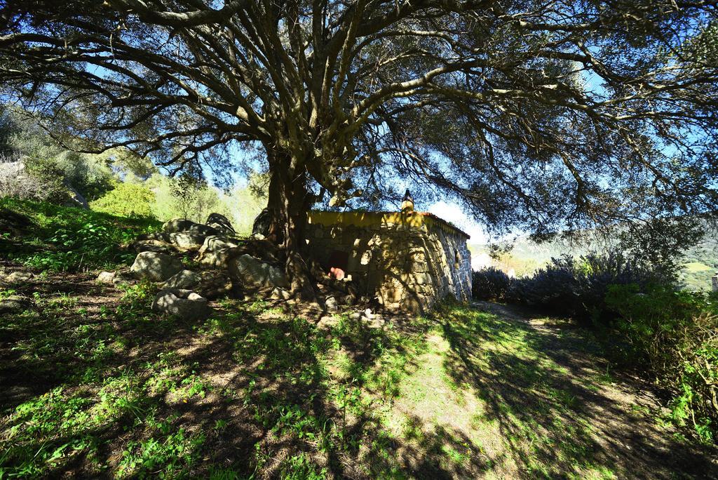 Willa Lu Rotu Sant'Antonio di Gallura Zewnętrze zdjęcie