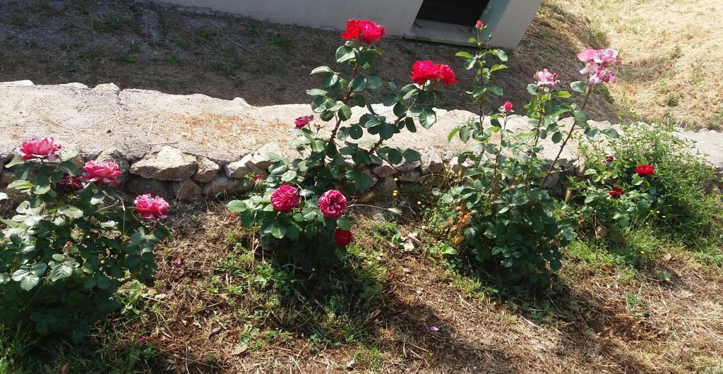 Willa Lu Rotu Sant'Antonio di Gallura Zewnętrze zdjęcie